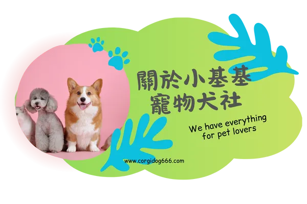 關於小基基寵物犬舍