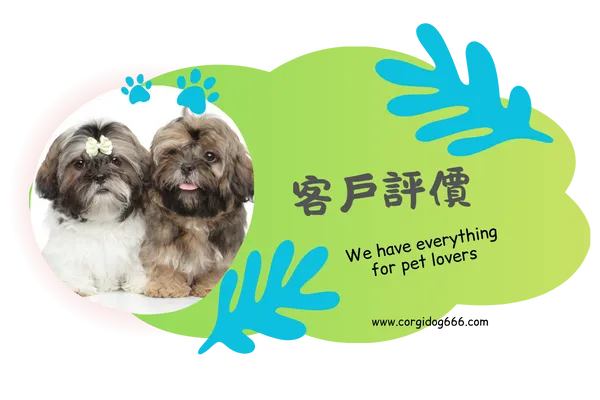 客戶評價
