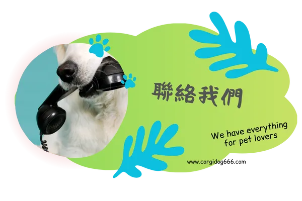 聯絡我們