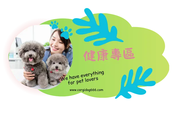 健康專區